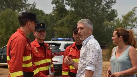 El ministro del interior, Fernando Grande-Marlaska, visita el fuego en Losacio_16