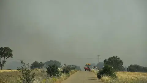 Incendio Almaraz de Duero_20