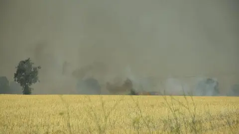 Incendio Almaraz de Duero_18