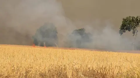 Incendio Almaraz de Duero_19