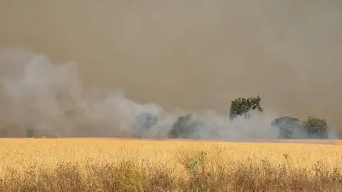 Incendio Almaraz de Duero_15