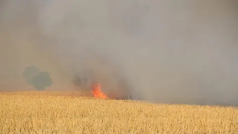 Incendio Almaraz de Duero_16