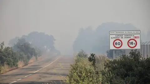 Incendio Almaraz de Duero_13