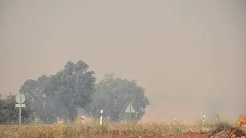 Incendio Almaraz de Duero_12