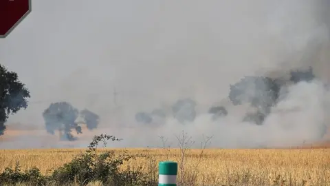 Incendio Almaraz de Duero_9