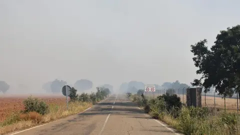 Incendio Almaraz de Duero_10