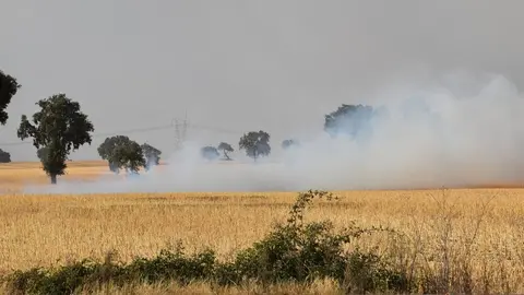 Incendio Almaraz de Duero_11
