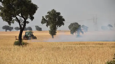 Incendio Almaraz de Duero_6