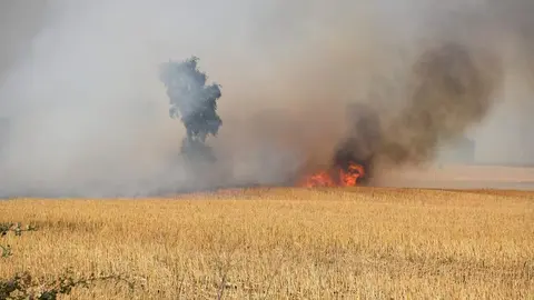 Incendio Almaraz de Duero_8