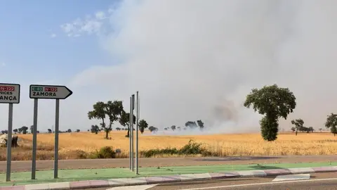 Incendio Almaraz de Duero_4
