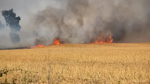 Incendio Almaraz de Duero_5. Imagen de archivo