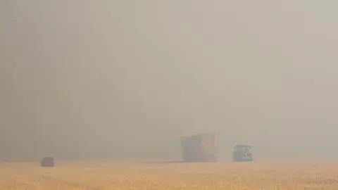 Incendio Almaraz de Duero_3