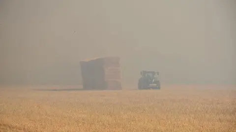 Incendio Almaraz de Duero_2