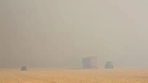 Incendio Almaraz de Duero