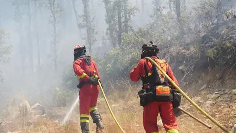 Fotografía de archivo UME. Imagen: @UMEgob