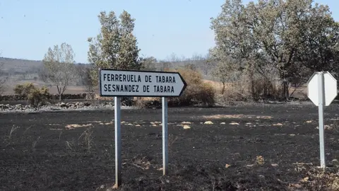 Fuego losacio dia 19 (132)