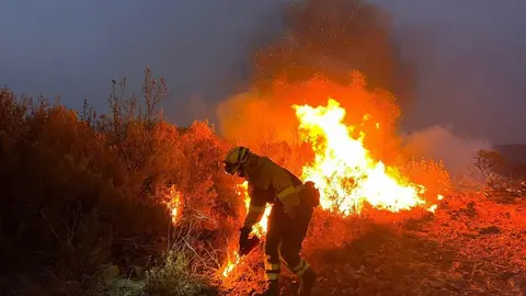 Un bombero forestal se afana  en sofocar el fuego en Losacio. Imagen de archivo/ infocyl