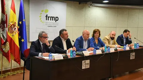 Comisión+de+Gobierno+de+la+Federación+Regional+de+Municipios+y+Provincias+04