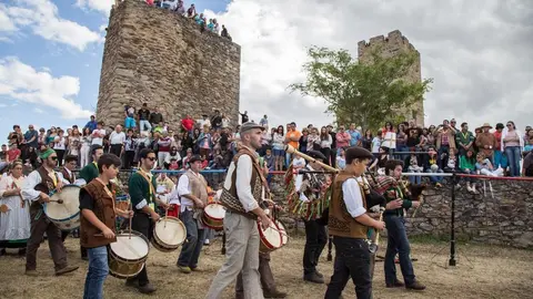 Festival Terra Transmontana (9)