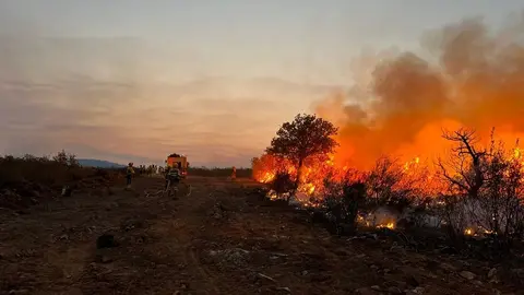 Brigada actuando en el incendio de Losacio. Foto apamcyl