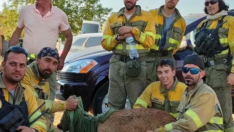 La ELIF del Zulú 2 con un corzo rescatado del incendio de Losacio