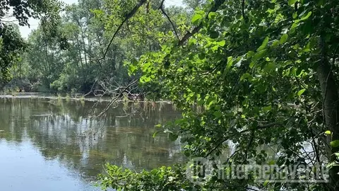 Poema vía Interbenavente.es