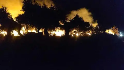 Incendio en Moralina