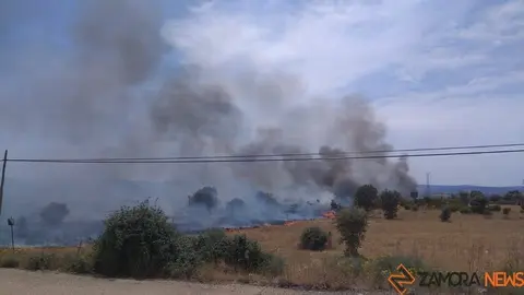 Incendio en Rionegro del Puente