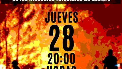 Manifestación Zamora