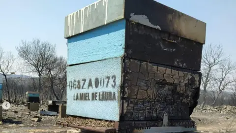 Colmenas de La miel de Laura arrasadas por el fuego de Losacio