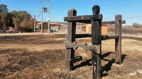 Zona quemada por los incendios. Foto UPL