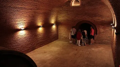 Noche blanca en Toro (23)