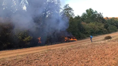 Incendio Carbajales de Alba. Fotografía: @INFOCYL