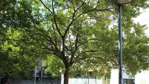 Alumbrado LED en un barrio de Zamora