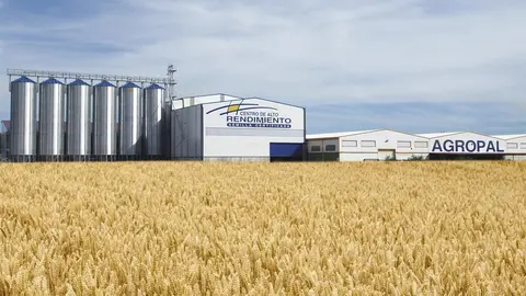 Centro Alto Rendimiento Semilla Agropal