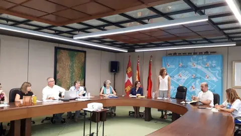 La delegada territorial preside la Comisión de Patrimonio