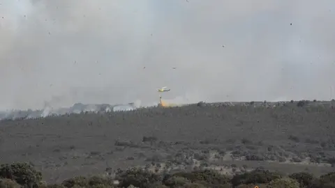 Imagen del fuego de Losacio
