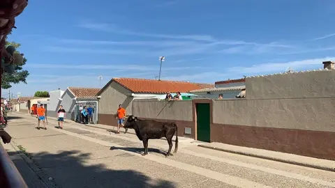 Encierro en Villaralbo