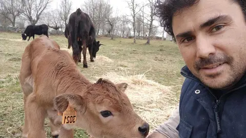 Juan Antonio Casado en su explotación en Peñausende con varios ejemplares de raza sayaguesa. Fotografía: CEDIDA