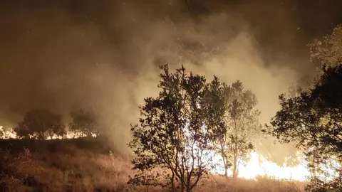 Imagen de archivo del incendio en el término municipal de Granja de Moreruela. Fotografía: FC