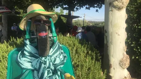 43moralinamercado
