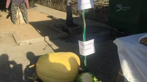 45moralinamercado