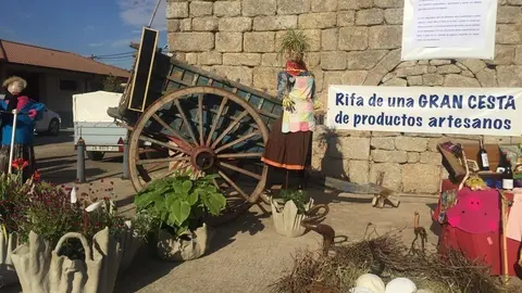 50moralinamercado