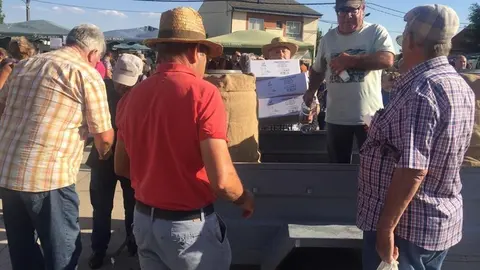 54moralinamercado