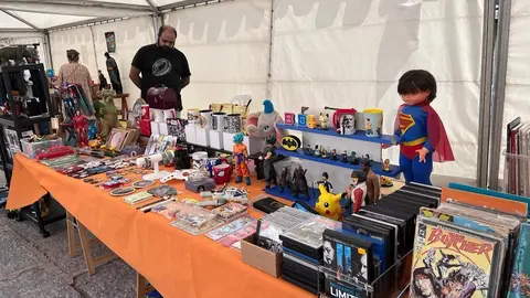 2ª Feria del Coleccionismo en Toro (2)