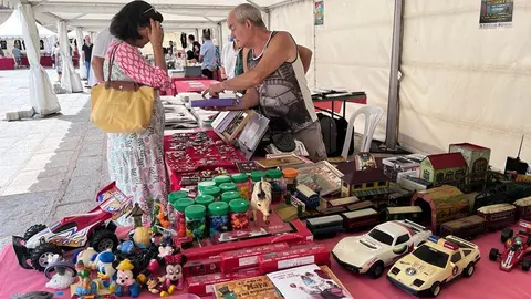 2ª Feria del Coleccionismo en Toro (5)