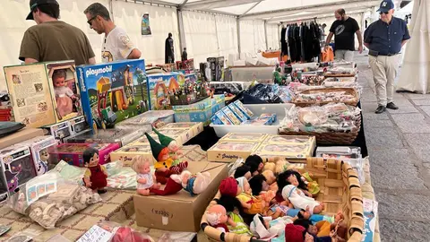 2ª Feria del Coleccionismo en Toro (8)