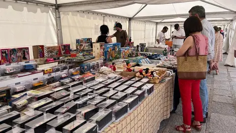 2ª Feria del Coleccionismo en Toro (9)