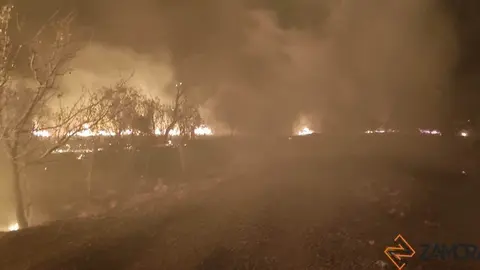 Incendio declarado esta mañana en el entorno de Puente Quintos. Foto F.C.
