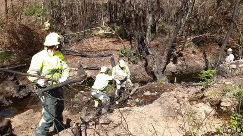 Trabajos en la Sierra de la Culebra